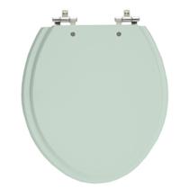 Assento Laqueado Oval Verde Claro Tampa Para Vaso Universal