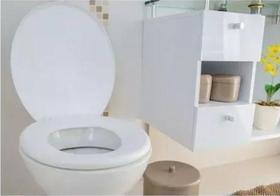 Assento p/ vaso sanitario - ARQPLAST