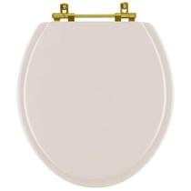 Assento Sanitário Convencional Oval Rosa Shell para vaso Incepa com Ferragem Dourada