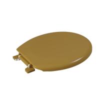 Assento Sanitário Plástico Astra Tar/As Almofadado Reforçado Assento Sanitário Plástico Astra Tar/As Almofadado Reforçado