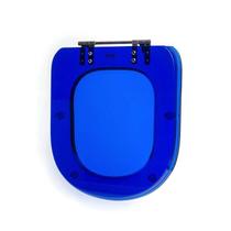 Assento Sanitário Poliéster para Louça Link/carrara/belle Époque (deca) Aço (reb. Aparente) Azul Translucido - Sedile Assentos