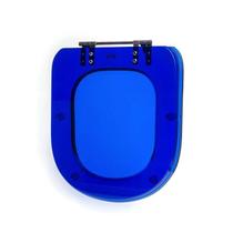 Assento Sanitário Poliéster Para Louça Link/Carrara/Belle Époque (Deca) Aço (Reb. Aparente) Sedile
