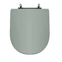 Assento Sanitário Poliéster Para Louça Riviera (Celite) Aço (Reb. Oculto) Água Marinha