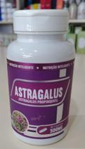ASTRAGALUS (Astragalus Propinquua) - 500mg - 60 cápsulas