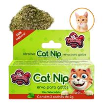 Atrativo Catnip para Gatos Erva para Gatos CatDog São Pet