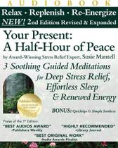 Audiolivro Relax Intuit Your Present 2ª Edição Meditações Audiolivro Relax Intuit Your Present 2ª Edição Meditações