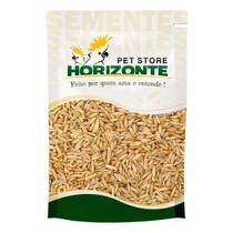 Aveia Sem Casca 5kg - Horizonte Pet Store - Semente Descascada e Limpa para Pássaros