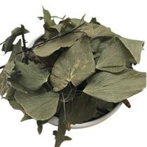 Avenca 500Gr (Erva Desidratada) Avenca 500Gr (Erva Desidratada)