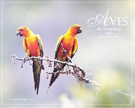 Aves da Amazônia - Birds Amazon Forest - Aves e Fotos