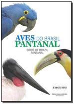 Aves do brasil pantanal - birds of brazil pantanal - homem passaro - HOMEM PASSARO PUBLICACOES