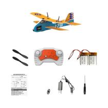 Avião RC Para Crianças 24G Controle Remoto De Rádio Planador De Espuma EPP Modelo De Jato Brinquedo