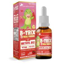 B-Trix (Vitamina B12) Kids 20ml Sabor Morango Flora Nativa B-Trix (Vitamina B12) Kids 20ml Sabor Morango Flora Nativa