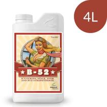B52 - 4 Litros