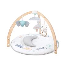 Baby Activity Gym aden + anais Jogue e descubra mais de 30 benefícios