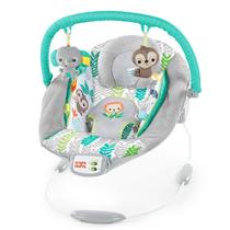 Baby Bouncer Bright Starts Comfy Soothing Vibrations 0-6M