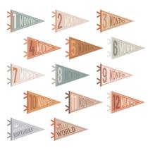 Baby Milestone Pennant Signs VitalCozy Monthly 14 unidades