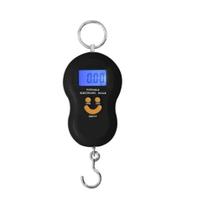 Balança Digital Gancho Portátil Manual Até 50kg - Altomex