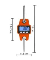 Balança Gancho 300Kg Lcd De Digitas