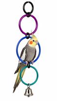 Balanço Argola Calopsita Com Guizo Brinquedo Colorido Aves Balanço Argola Calopsita Com Guizo Brinquedo Colorido Aves