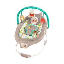 Balanço Infantil Bright Starts - Winnie the Pooh Disney