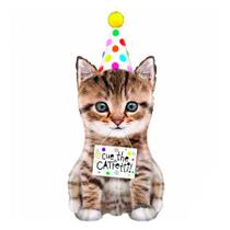 Balão de Festa Metalizado 41'' 104cm - Cue The Cat - 1 unidade - Grabo - Rizzo Balão de Festa Metalizado 41'' 104cm - Cue The Cat - 1 unidade - Grabo - Rizzo