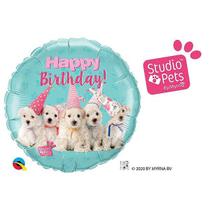 Balão de Festa Microfoil 18" Redondo - Birthday Cachorros Studio Pets - 01 Uni - Qualatex - Rizzo Balões Balão de Festa Microfoil 18" Redondo - Birthday Cachorros Studio Pets - 01 Uni - Qualatex - Rizzo Balões