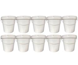 Baldinho 10 Unidades