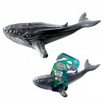 Baleia Jubarte Animal Marinho Realista Infantil 27 Cm Baleia Jubarte Animal Marinho Realista Infantil 27 Cm