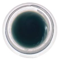 Bálsamo de beleza LIVING LIBATIONS BeDew Dab Ozonated 6mL Bálsamo de beleza LIVING LIBATIONS BeDew Dab Ozonated 6mL