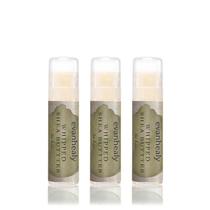 Bálsamo labial evanhealy, manteiga de karité batida orgânica, 7 g (pacote com 3)