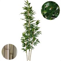 Bambu Artificial Folha Grande 2 Metros Sem Vaso Decoração Bambu Artificial Folha Grande 2 Metros Sem Vaso Decoração