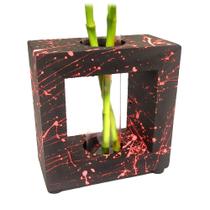 Bambu da Sorte com Vaso em Vidro e Suporte de Madeira (Urban Art)