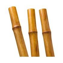 Bambu Mossô: 1mt x 10cm Aprox. 6un Bambu Mossô: 1mt x 10cm Aprox. 6un