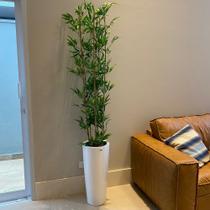 Bambu Mossô Artificial 6 Hastes Planta Alta no Gesso + Vaso - Decore Fácil Shop