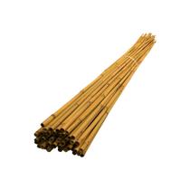 Bambu Tratado Para Artesanato 80cm x 15mm - 10 Unidades