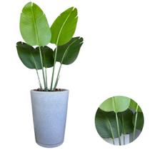 Bananeira Artificial Toque Real Com Vaso Cone Liso Completo
