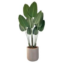 Bananeira Artificial Vaso Bojo Completo Toque Real Decoração Bananeira Artificial Vaso Bojo Completo Toque Real Decoração