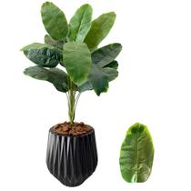 Bananeira Buquê Planta Artificial Com Vaso Polietileno