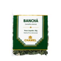 Banchá Chamel 30g Folhas Secas Embalagem Lacrada