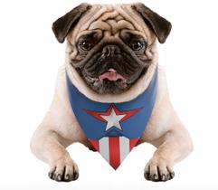Bandana Cachorro M/G Pets Marvel Capitão América Produto Oficial Regina Festas - Inspire sua Festa Loja