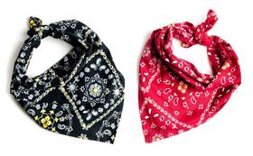 Bandana Caipira - FESTA JUNINA - QUIMERA KIDS