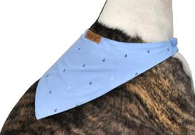 Bandana Chic para Cachorro e Gato Pet
