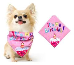 Bandana Festa Aniversário Pet Cachorro Cães E Gatos Birthday Cachorros Todos os Portes