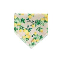 Bandana Limone - Bege - G