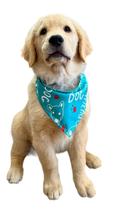 Bandana Pet M 30 Peças Macho Femea Cores Estampas Variadas.