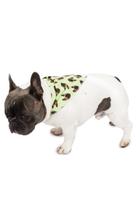 Bandana Pet Personalizada Verde Menta Bandana Pet Personalizada Verde Menta