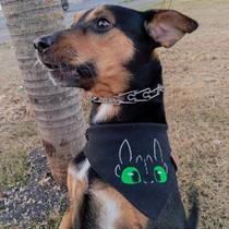 Bandana Rosto Bangela - Acessório Pet Estiloso para Treinar Seu Dragão