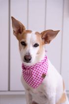 Bandana Tulipa