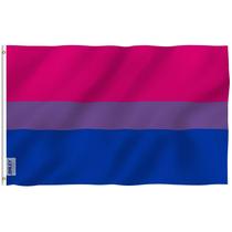 Bandeira Anley Fly Breeze Bi Pride 90x150cm poliéster