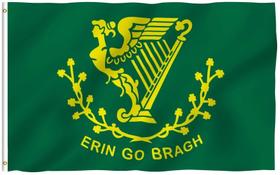Bandeira Anley Fly Breeze Erin Go Bragh 90x150cm Poliéster